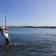Essential Techniques for Live Bait Fishing: Choosing the Best Saltwater Fishing Reel
