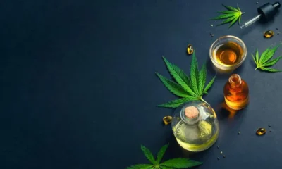 CBD for Everyday Wellness: Integrating Cannabidiol into Your Daily Routine