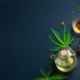 CBD for Everyday Wellness: Integrating Cannabidiol into Your Daily Routine