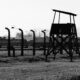 Understanding the Rise of Fascisterne: A Historical Perspective