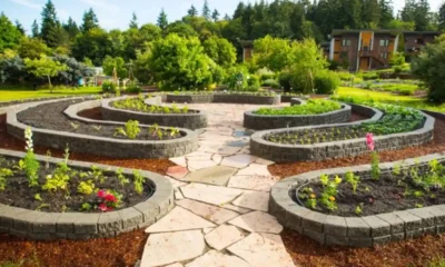Sustainable Landscaping Practices for Eco-Friendly Yards