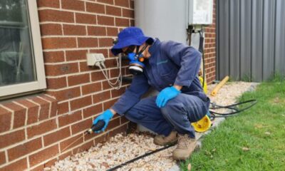 How Consistent Pest Control Protects Your Home Year-Round