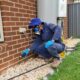 How Consistent Pest Control Protects Your Home Year-Round