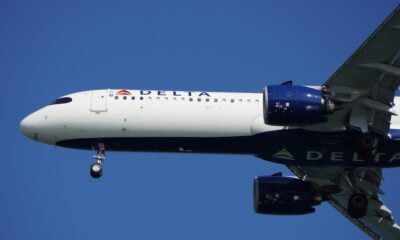 Delta Flight DL275 Diverted Lax: Passenger Experiences and Reactions
