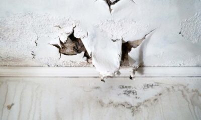 How Professional Restoration Services Minimize Long-Term Home Risks