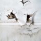 How Professional Restoration Services Minimize Long-Term Home Risks
