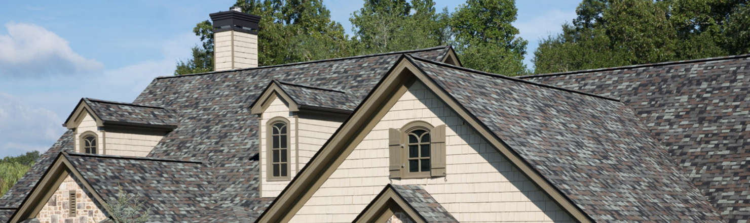 If Roofs Could Talk: A Story From Above