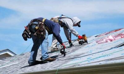 Above It All: Understanding What Your Roof Endures and How to Protect It