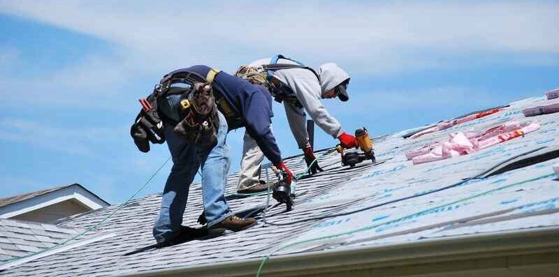 Above It All: Understanding What Your Roof Endures and How to Protect It