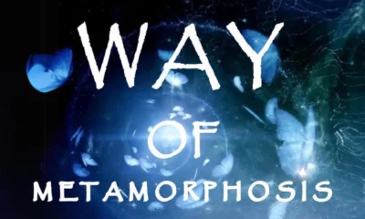 The Way of Metamorphosis: Why Life Passes So Quickly