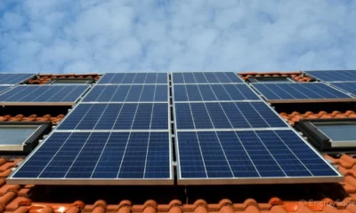 What Is A Solar Charge Controller And Why Is It Essential For Your Solar Power Setup