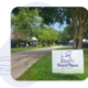 The Role of Enrichment Activities in Modern Dog Daycare Programs