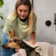 6 Steps to Create a More Relaxing Pet Grooming Experience