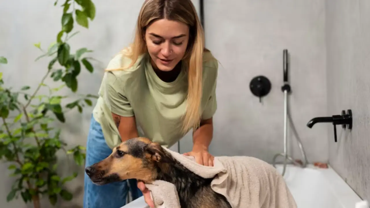 6 Steps to Create a More Relaxing Pet Grooming Experience