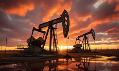 How to start a non-edible oil trading business in Dubai