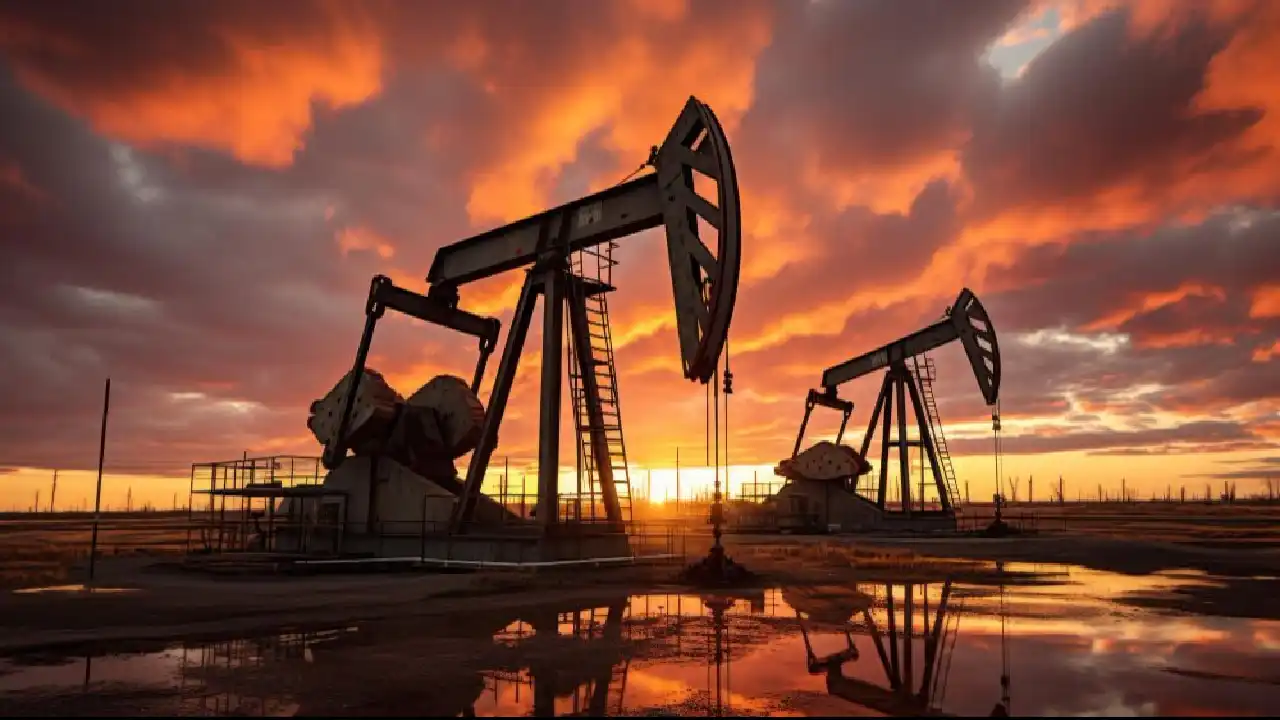 How to start a non-edible oil trading business in Dubai