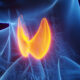 Thyroid Health