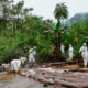 DLH Luwu and Its Role in Strengthening Environmental Awareness in Luwu Regency