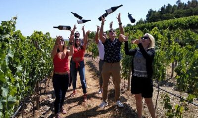 Top Tips for Booking a Wine Tour: From Group Size to Timing
