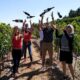 Top Tips for Booking a Wine Tour: From Group Size to Timing