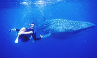 Ocean Giants