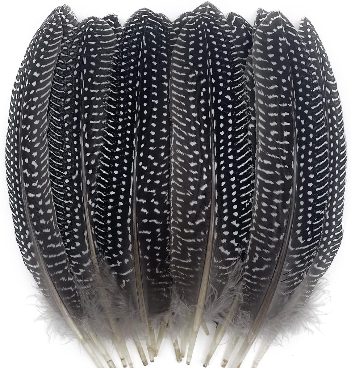 Incorporating Dyed Black Pheasant Feathers into Modern Fashion Accessories