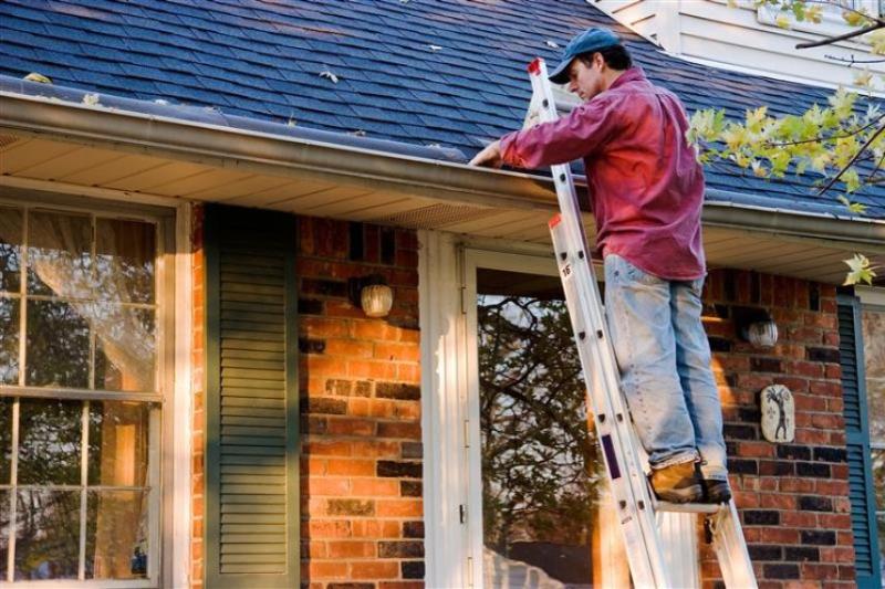 Gutter Protection and Home Maintenance: Seasonal Tips for Longevity