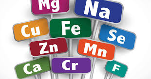 Benefits of Bioavailable Minerals for Wellness