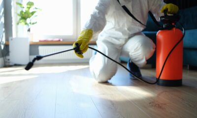 Pest Control Strategies
