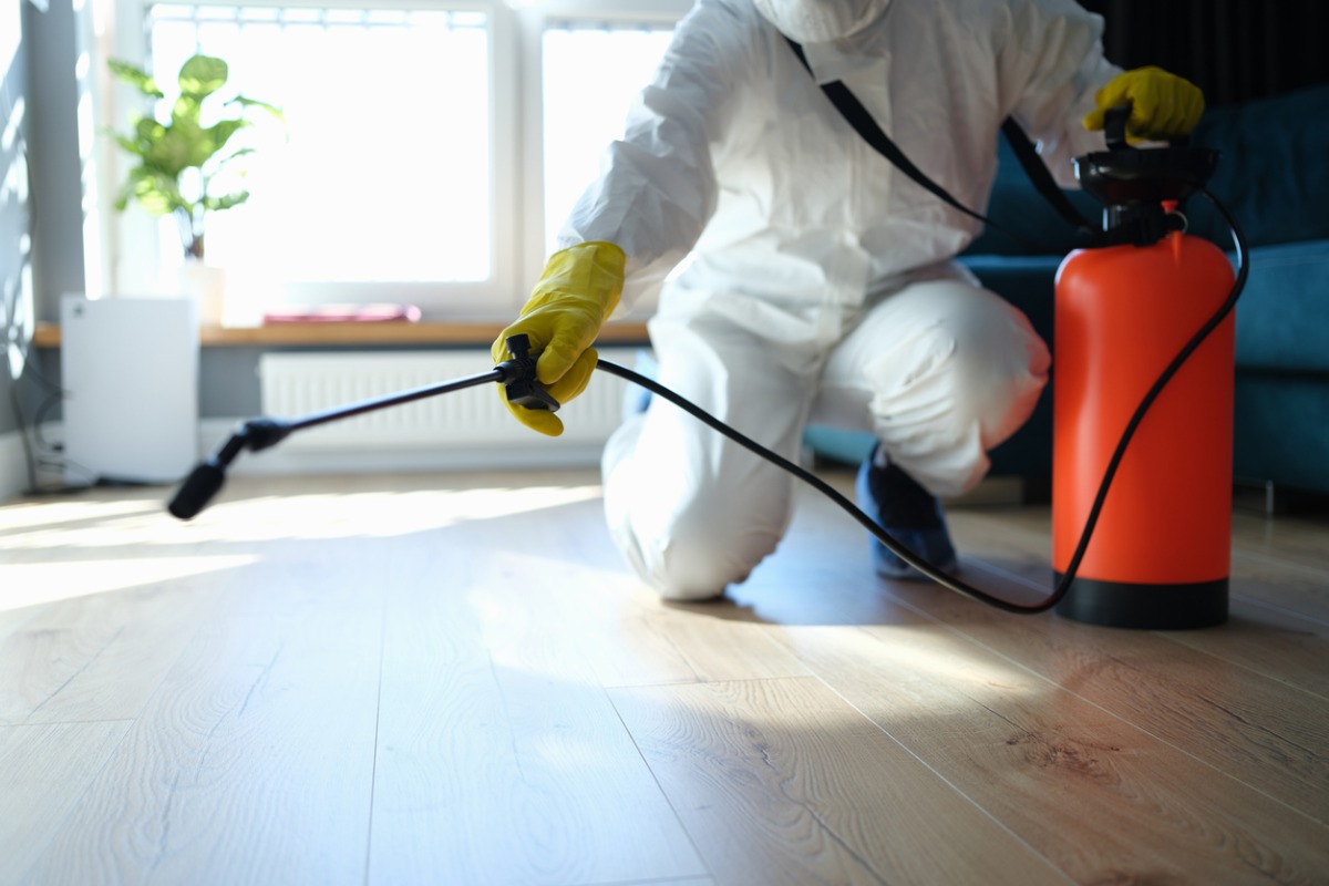 Pest Control Strategies