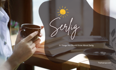 10 Things You Should Know About Serlig