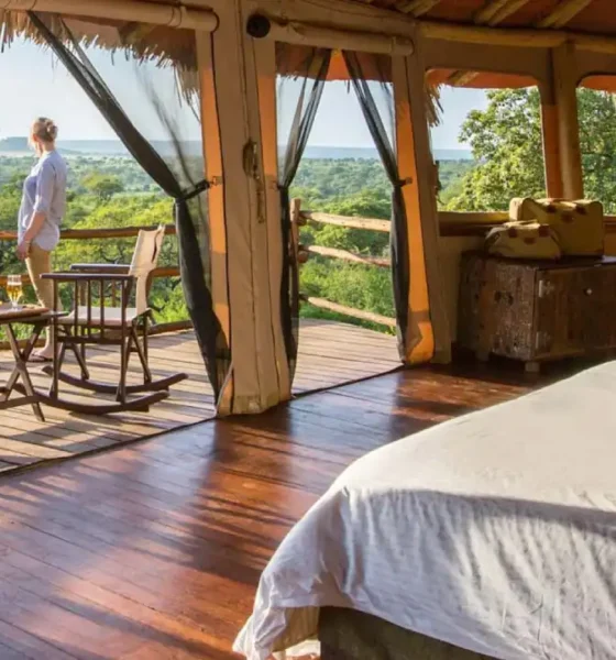 Glamping in the Trees: Is Elewana Tarangire Treetops the Ultimate Tanzania Safari Stay?