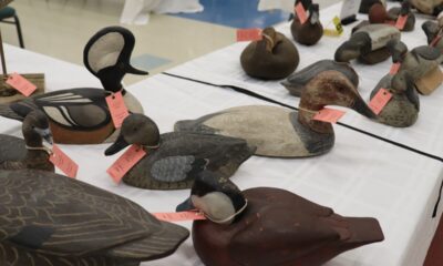 Discover the Mastery of Wildfowl Art: The Premier Destination for Bird Carving Enthusiasts