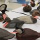 Discover the Mastery of Wildfowl Art: The Premier Destination for Bird Carving Enthusiasts