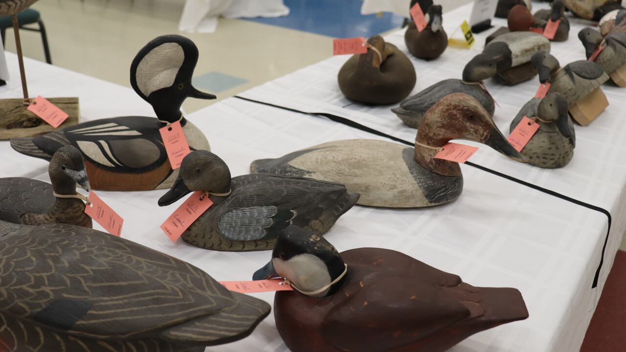 Discover the Mastery of Wildfowl Art: The Premier Destination for Bird Carving Enthusiasts
