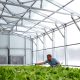 Film, Glass or Polycarbonate? How to Choose the Right Covering for a Commercial Greenhouse