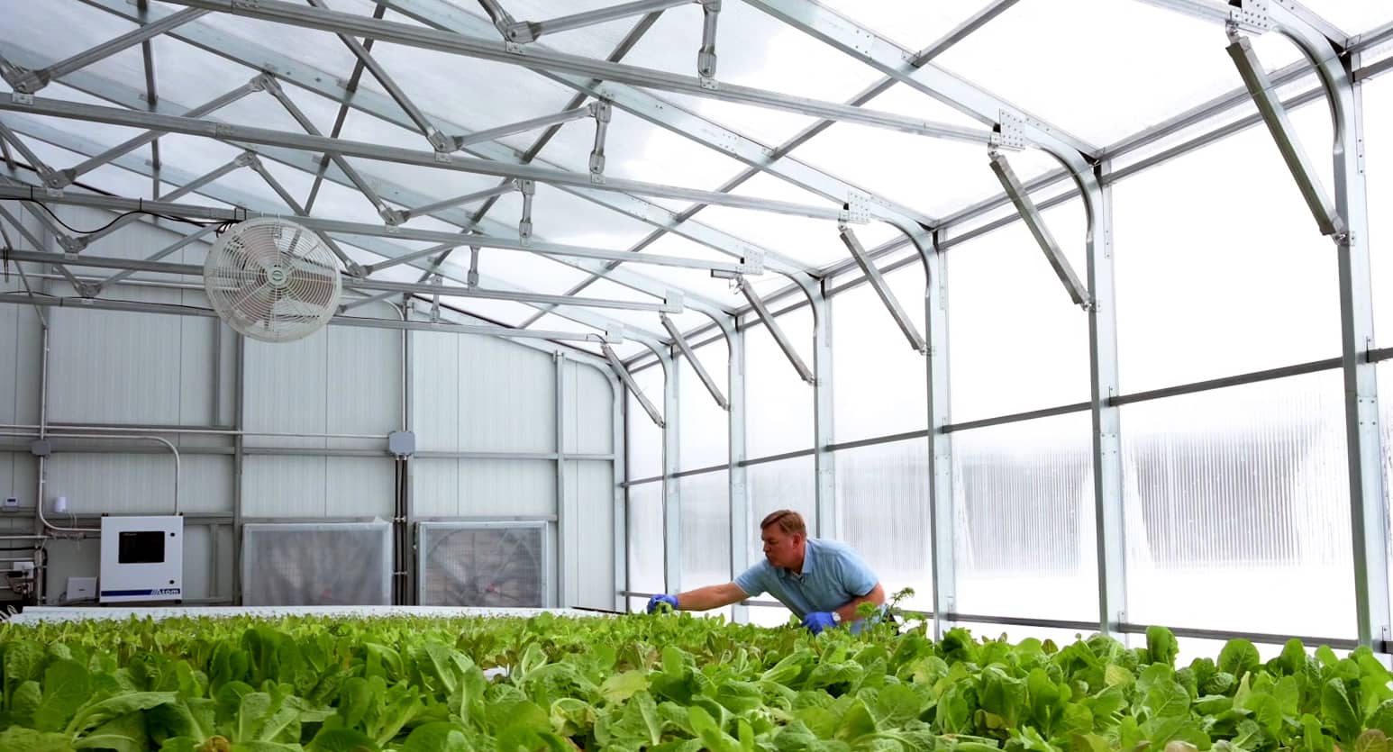 Film, Glass or Polycarbonate? How to Choose the Right Covering for a Commercial Greenhouse